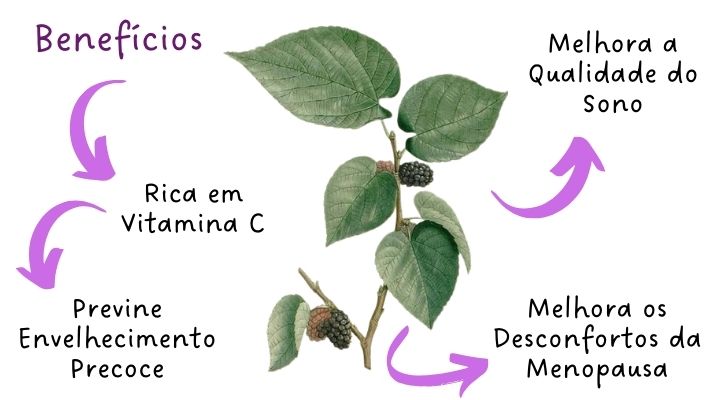 Planta Medicinal: Amora Miúra e seus Benefícios