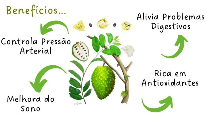 Graviola: Para que serve, Benefícios e Como Aproveitar Essa Fruta Poderosa